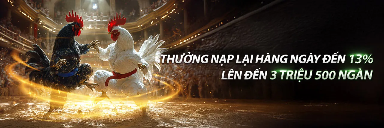 Sân đấu đá gà kịch tính tại gacam67 đăng nhập